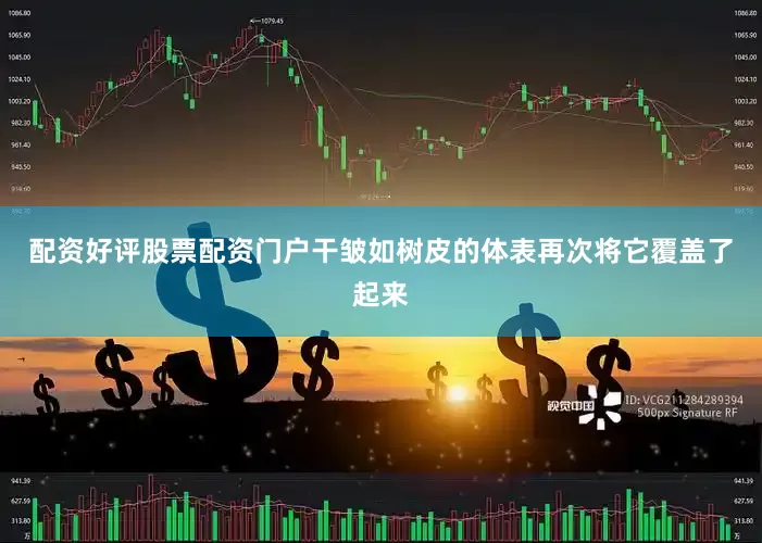 配资好评股票配资门户干皱如树皮的体表再次将它覆盖了起来