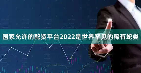 国家允许的配资平台2022是世界罕见的稀有蛇类