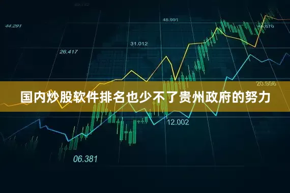 国内炒股软件排名也少不了贵州政府的努力